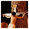 VCrucisMaratea2007 159.jpg(4,26 MB)
