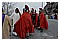 ViaCrucis2007 039.jpg(4,07 MB)