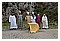 ViaCrucis2007 048.jpg(4,45 MB)