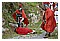 ViaCrucis2007 160.jpg(4,34 MB)