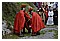 ViaCrucis2007 165.jpg(4,15 MB)
