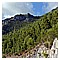La Pineta della Serra di castrocucco.JPG(6,51 MB)