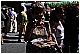 CAL_5201 - 136 KB