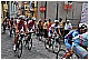 CAL_5444 - 241 KB